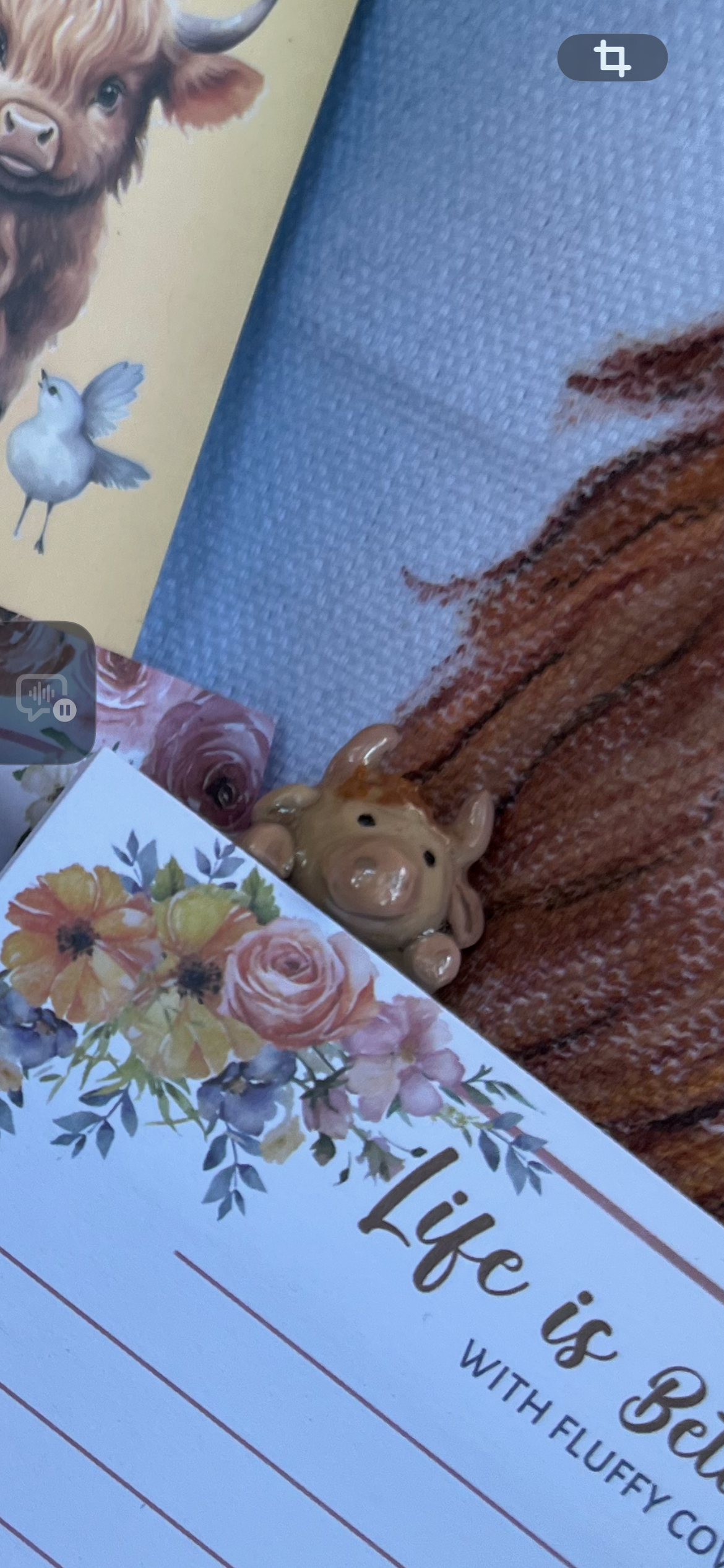Highland cow bundle